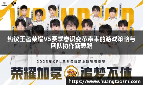 热议王者荣耀V5赛季意识变革带来的游戏策略与团队协作新思路