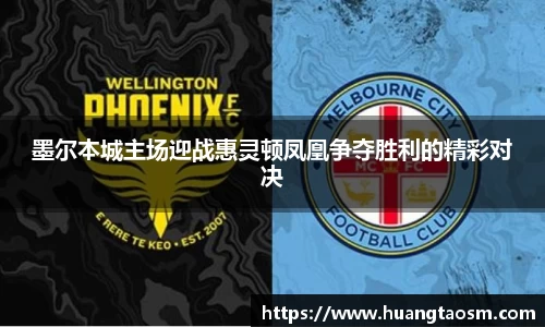 墨尔本城主场迎战惠灵顿凤凰争夺胜利的精彩对决